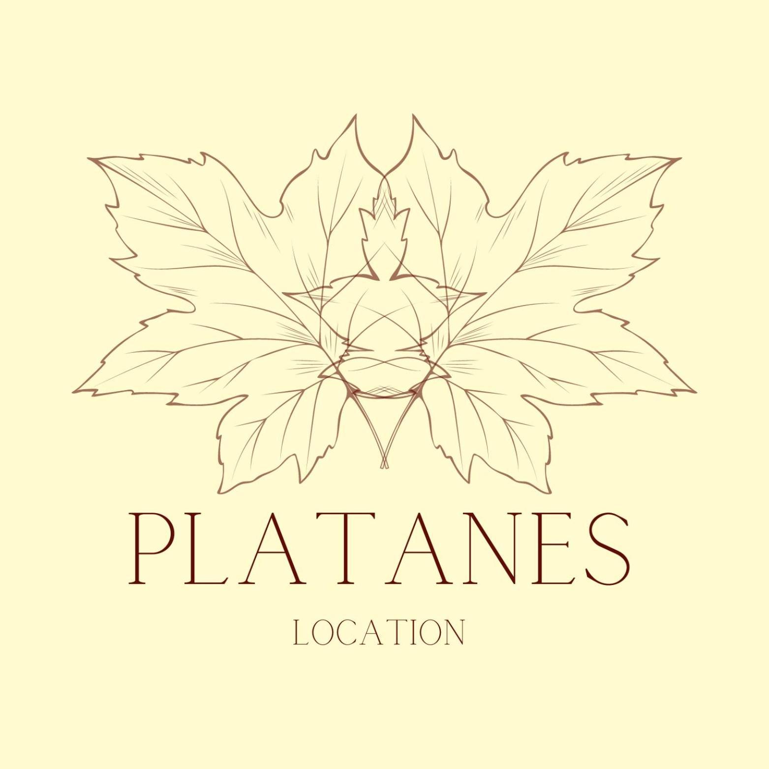Hotel Platanes - Kb Hotel Group Etauliers Bagian luar foto
